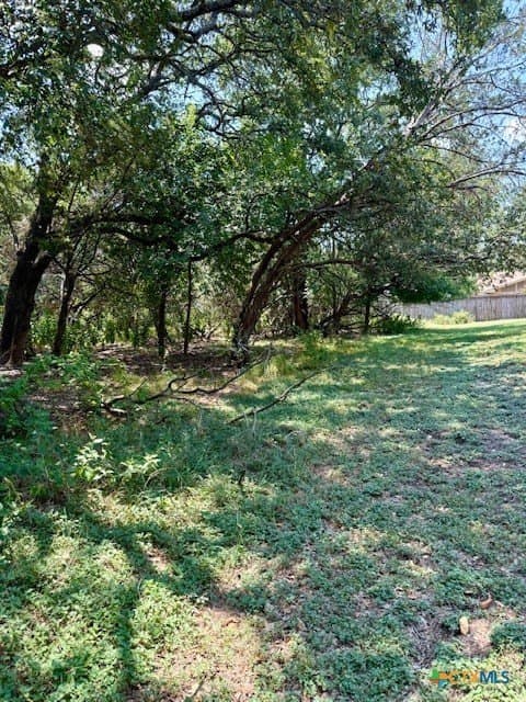 0.22 acres in Bell County - photo 6