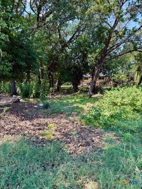 0.22 acres in Bell County - photo 4