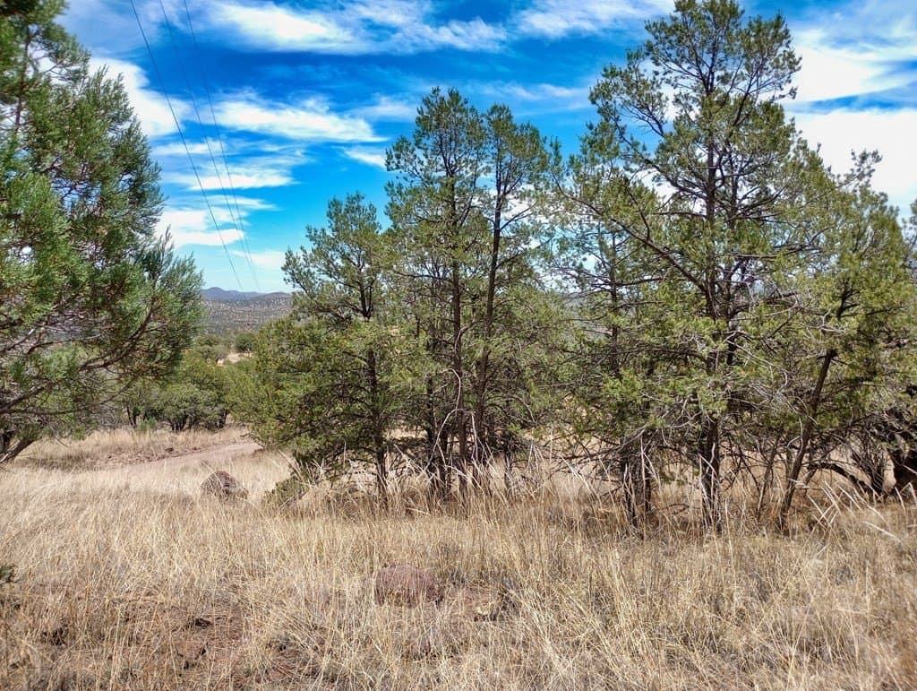 16.98 acres in Jeff Davis County - photo 9