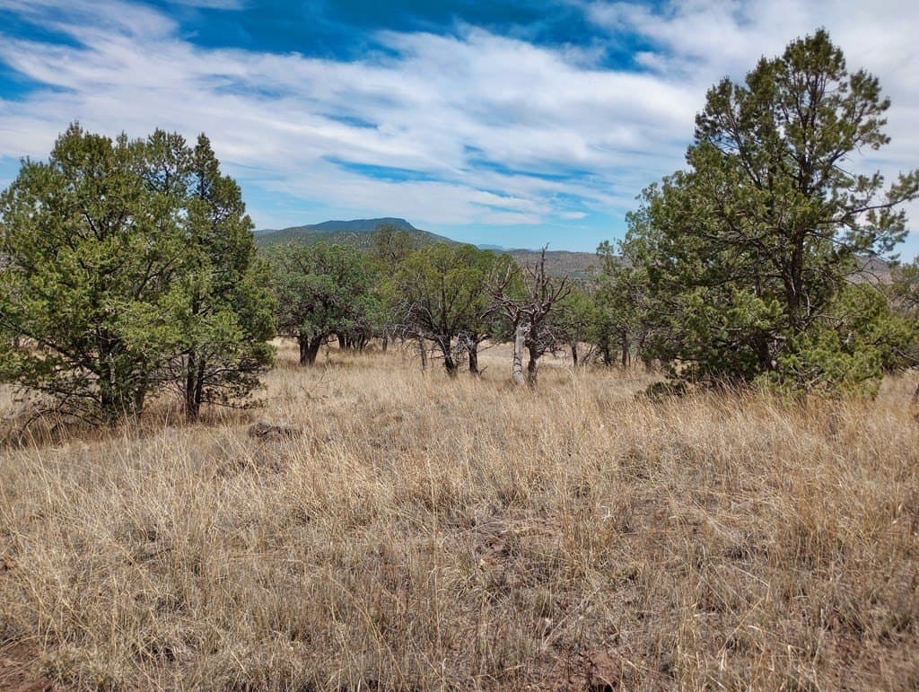 16.98 acres in Jeff Davis County - photo 17