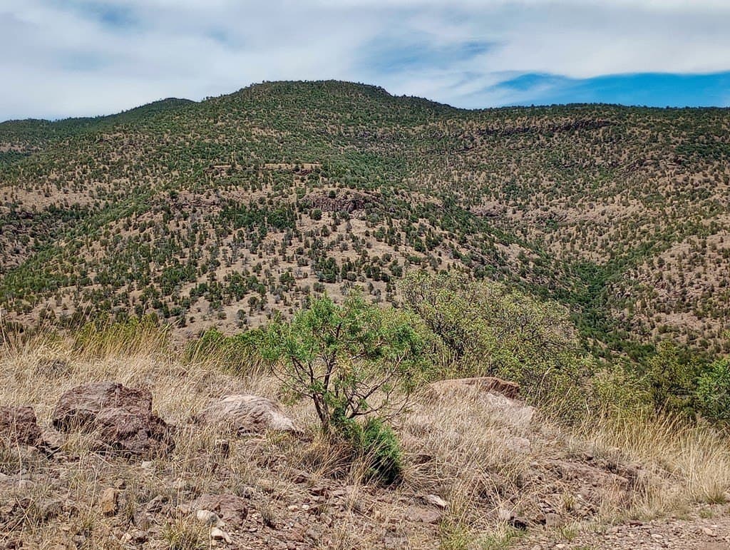 16.98 acres in Jeff Davis County - photo 14