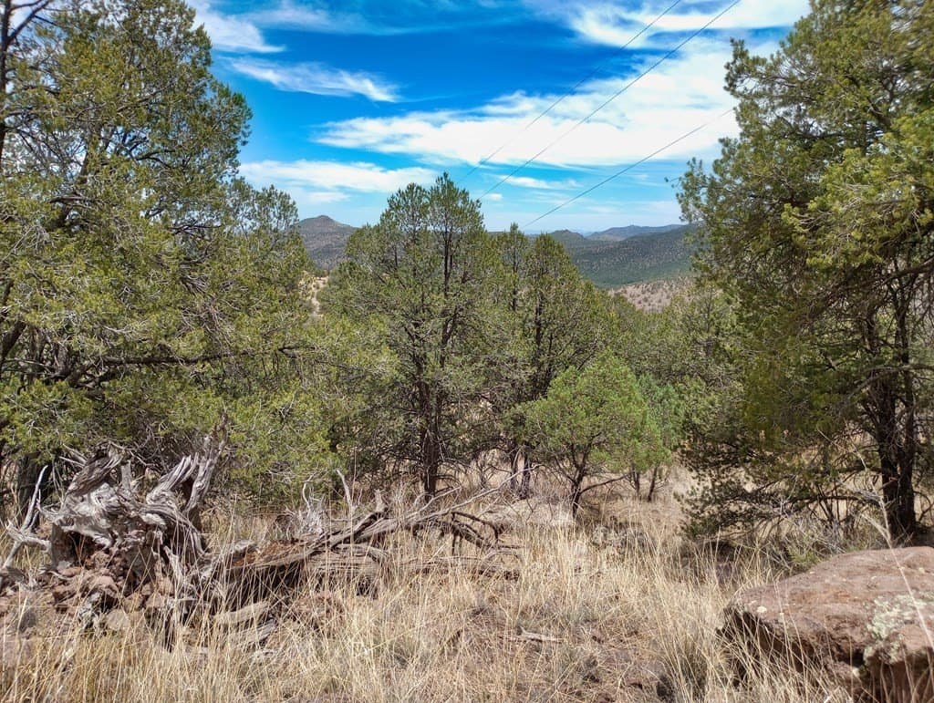 16.98 acres in Jeff Davis County - photo 8