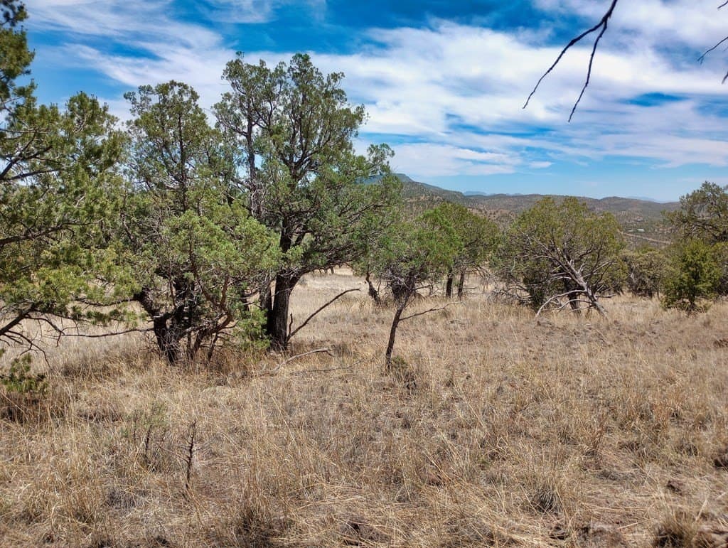 16.98 acres in Jeff Davis County - photo 19