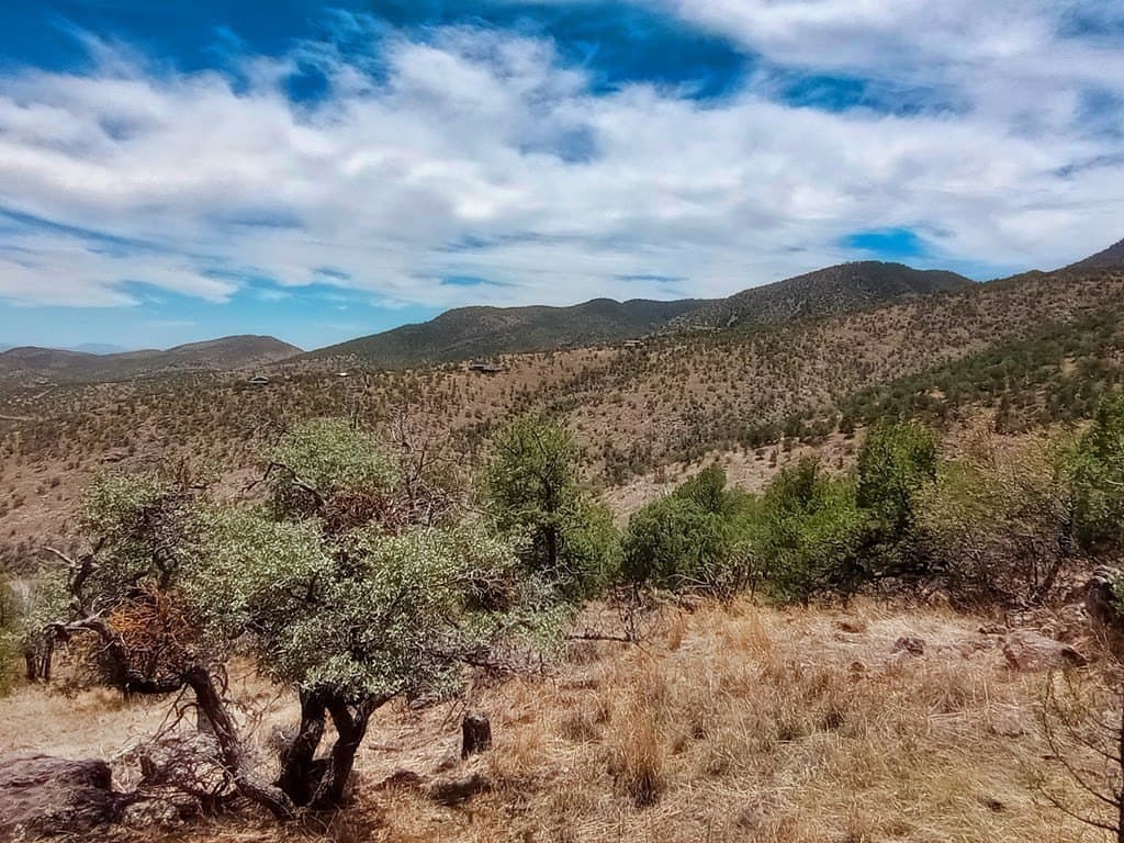 16.98 acres in Jeff Davis County - photo 4