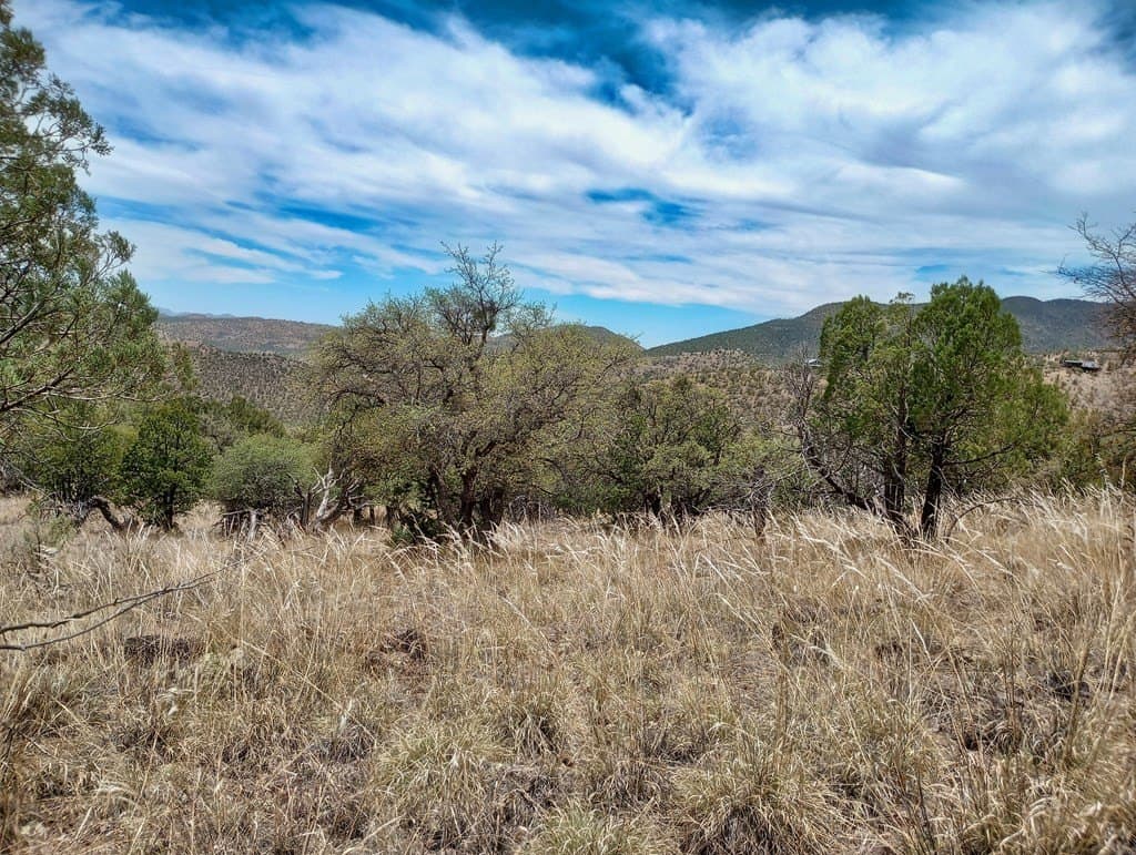 16.98 acres in Jeff Davis County - photo 11