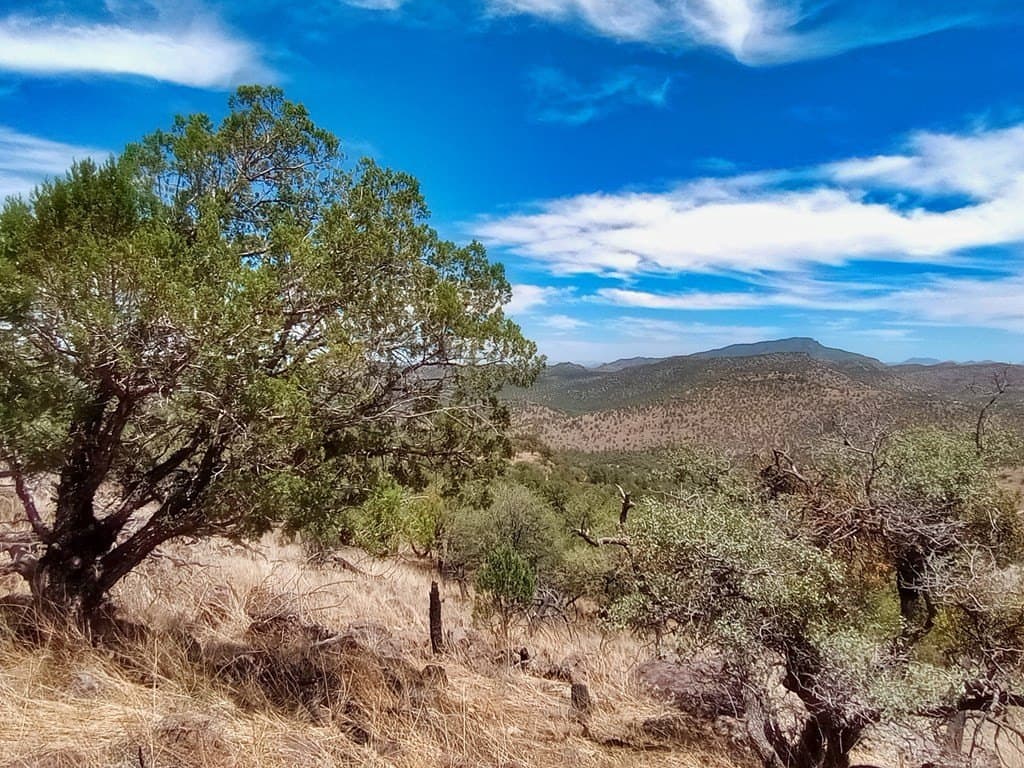16.98 acres in Jeff Davis County - photo 5