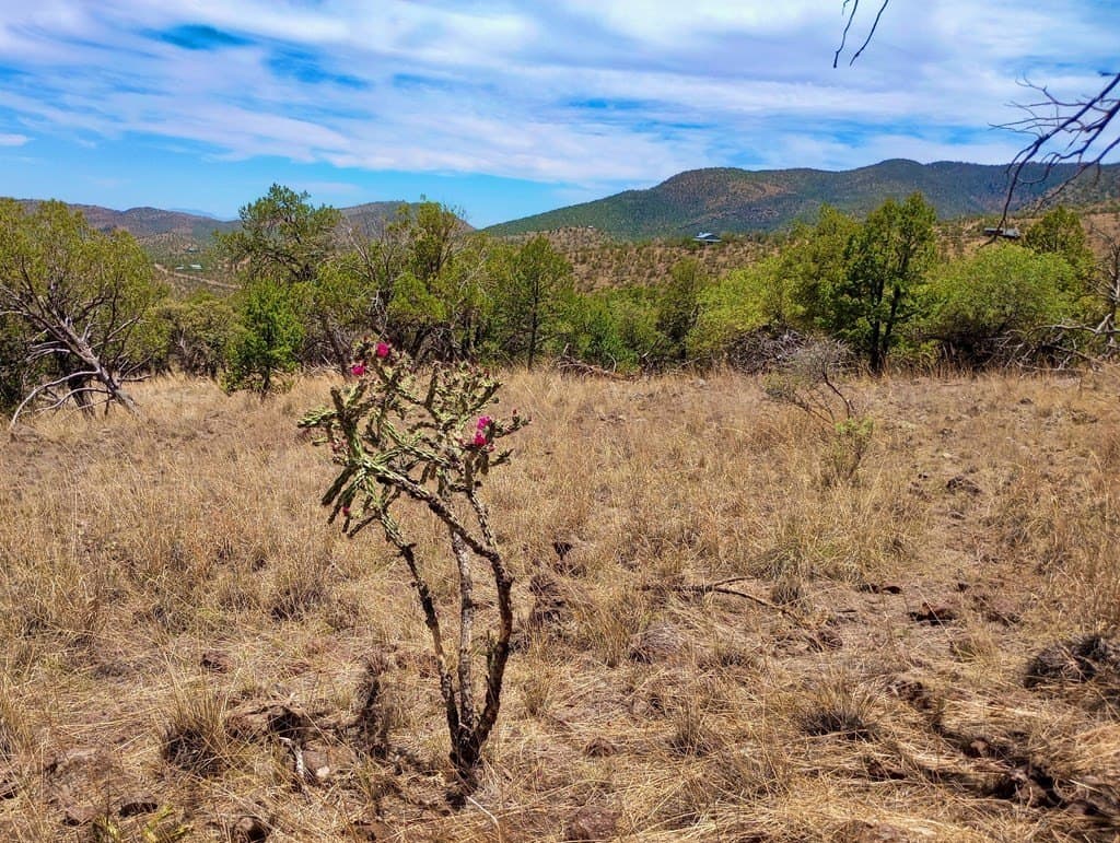 16.98 acres in Jeff Davis County - photo 18