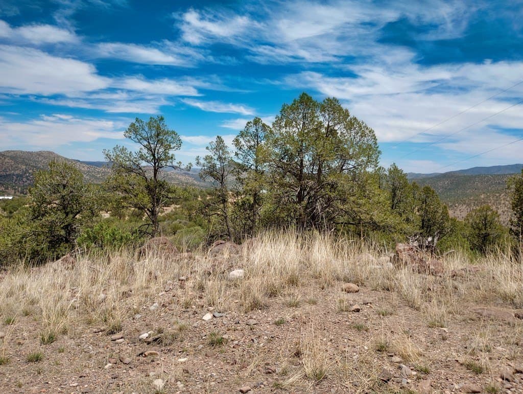 16.98 acres in Jeff Davis County - photo 16