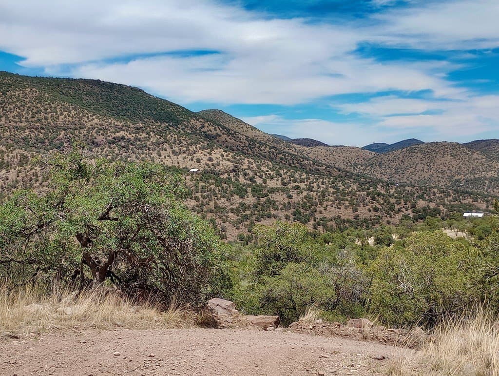 16.98 acres in Jeff Davis County - photo 15
