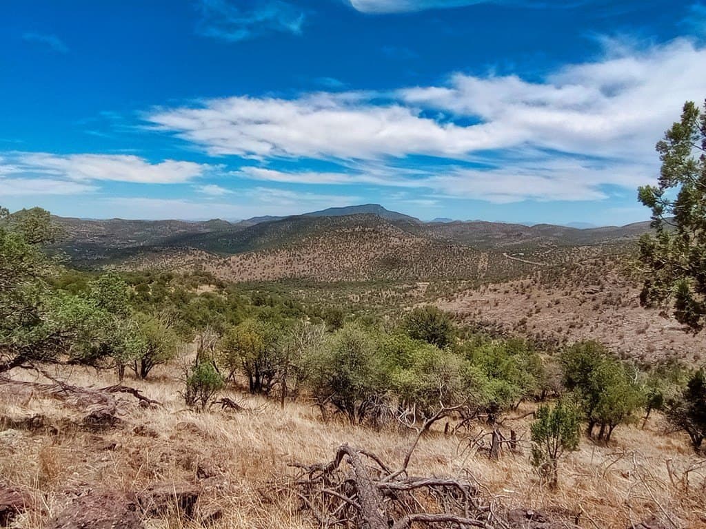 16.98 acres in Jeff Davis County - photo 3