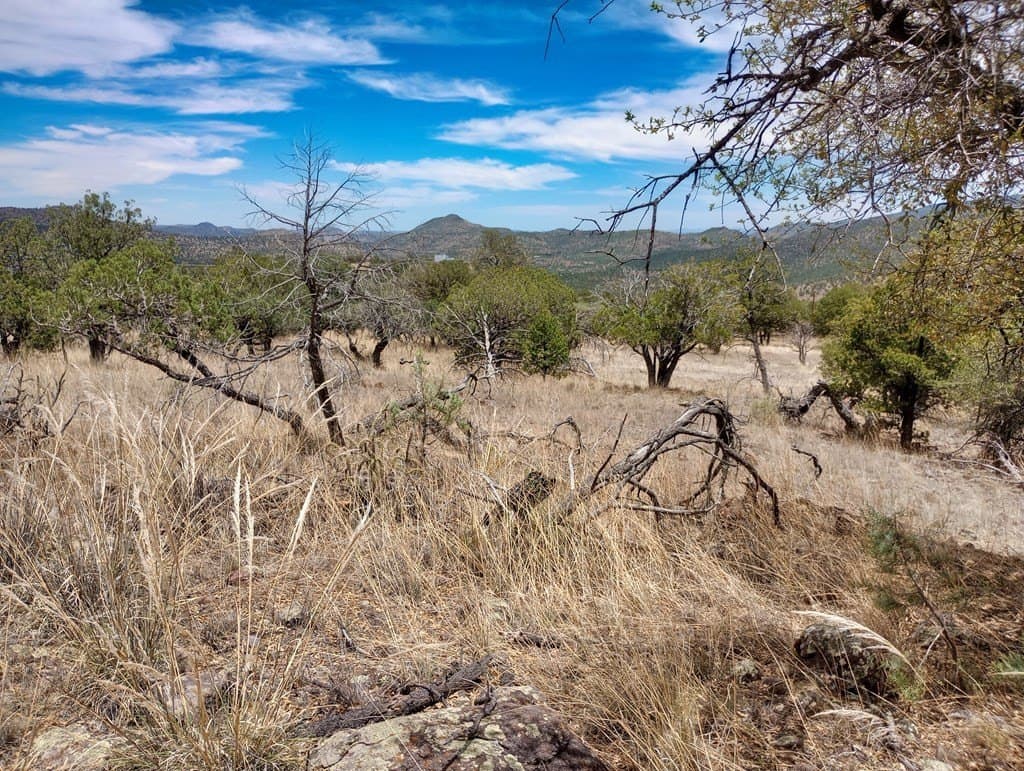 16.98 acres in Jeff Davis County - photo 13