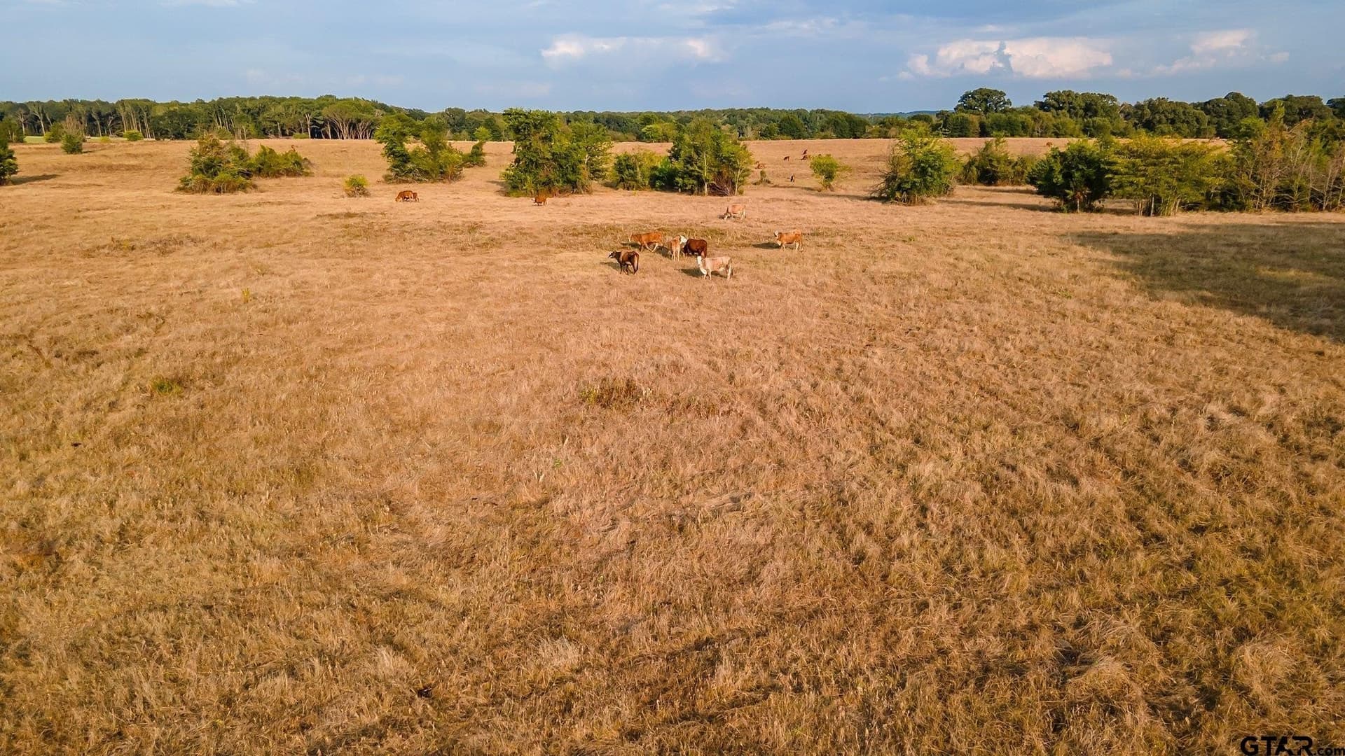 16.4 acres in Smith County - photo 5