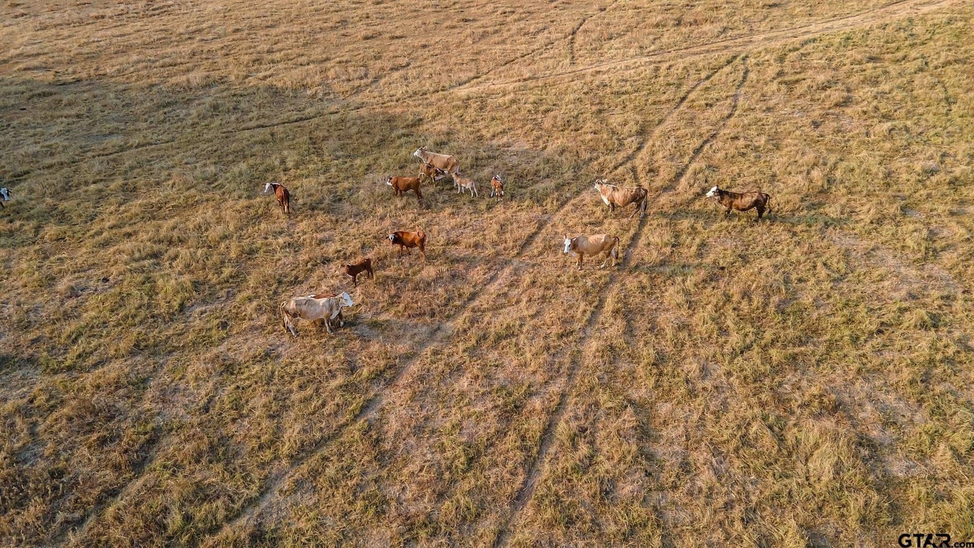 16.4 acres in Smith County - photo 8