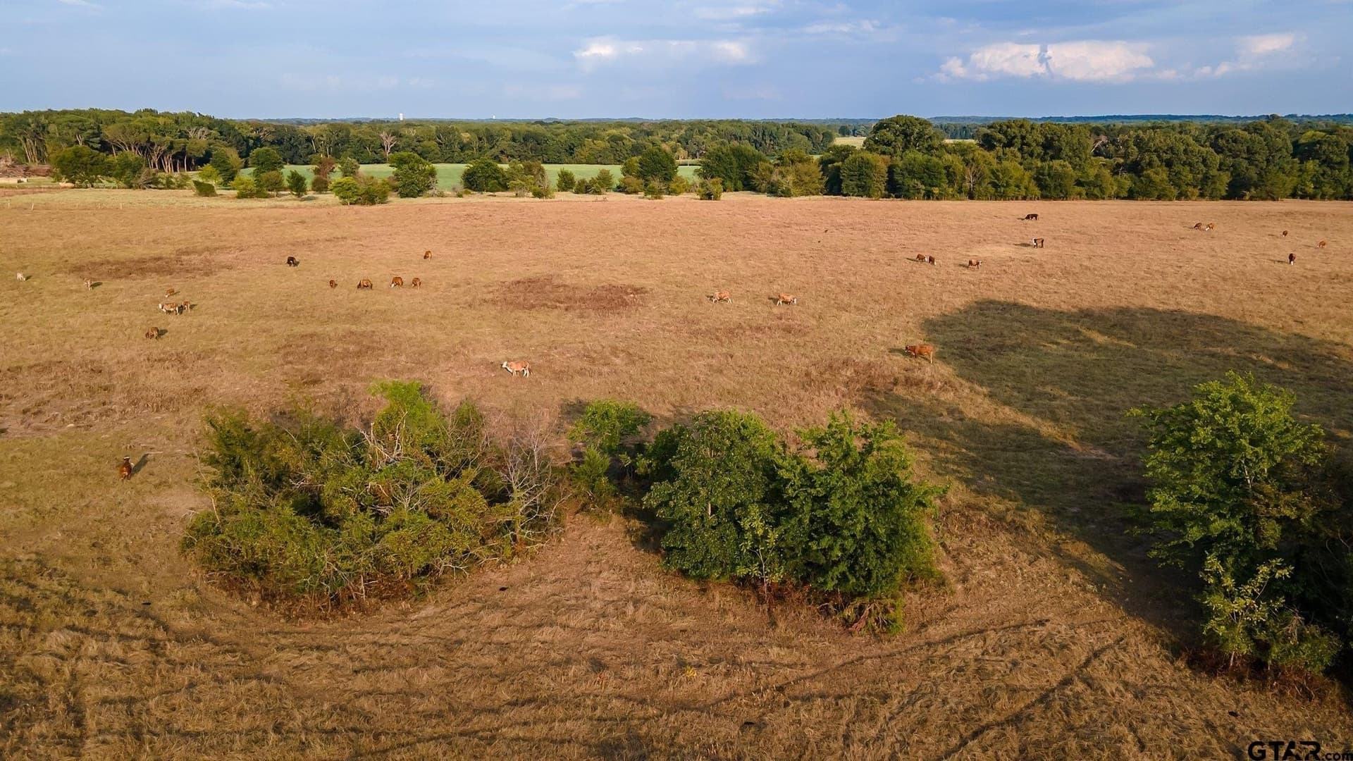 16.4 acres in Smith County - photo 7