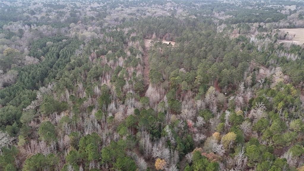 18.02 acres in Anderson County - photo 3