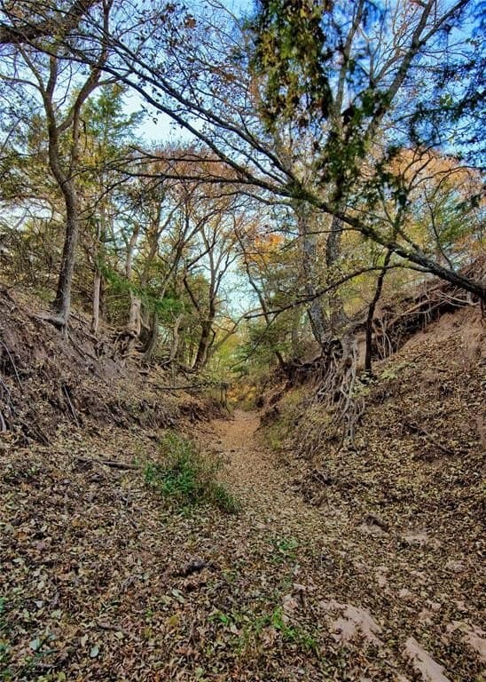 100 acres in Cooke County - photo 16