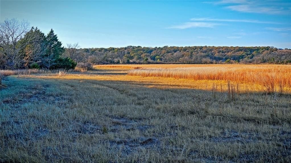 100 acres in Cooke County - photo 24