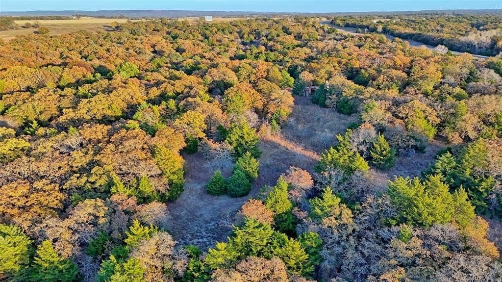 100 acres in Cooke County - photo 36