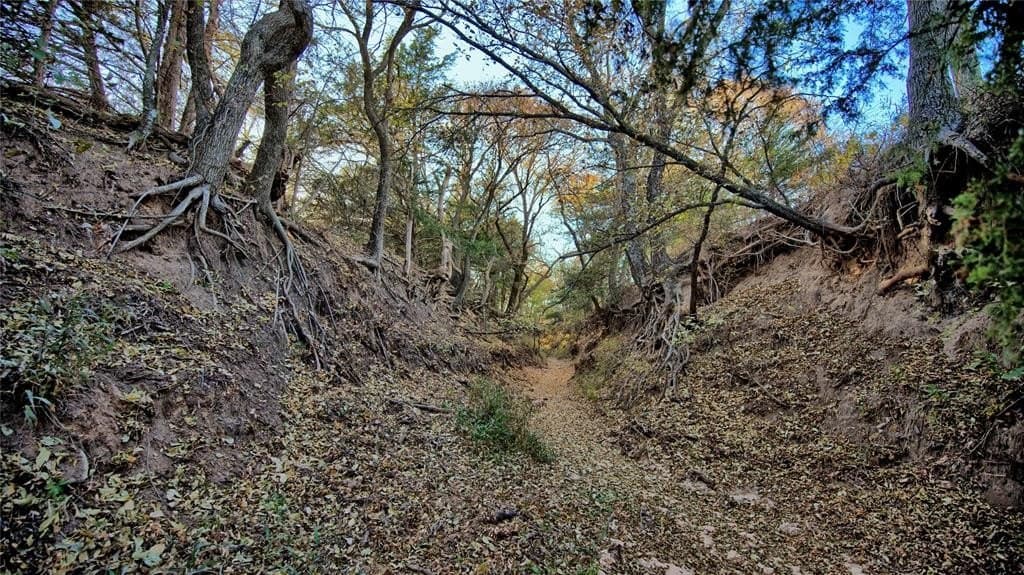 100 acres in Cooke County - photo 29