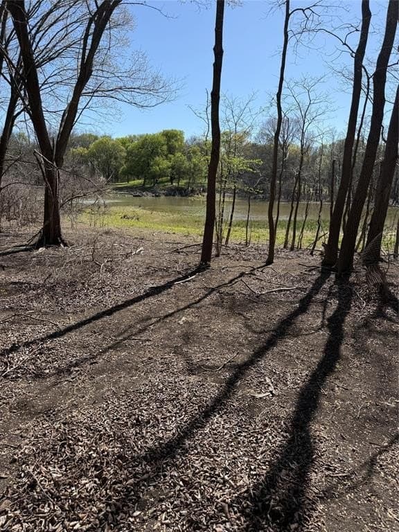 10 acres in Hill County - photo 11