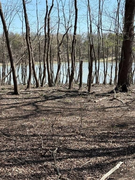 10 acres in Hill County - photo 2