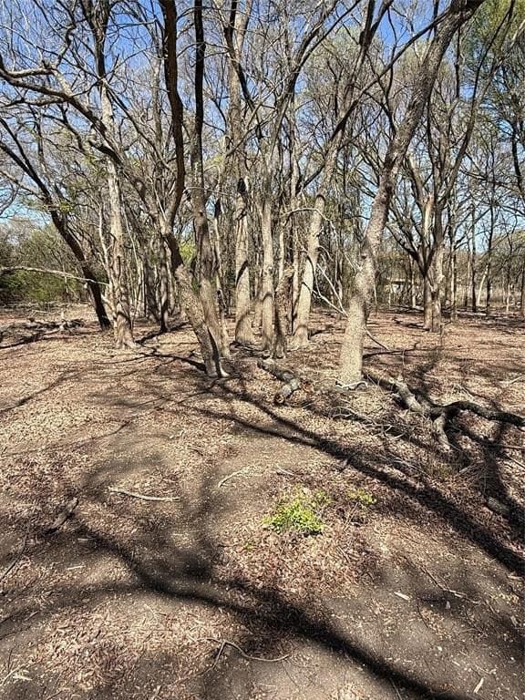 10 acres in Hill County - photo 5