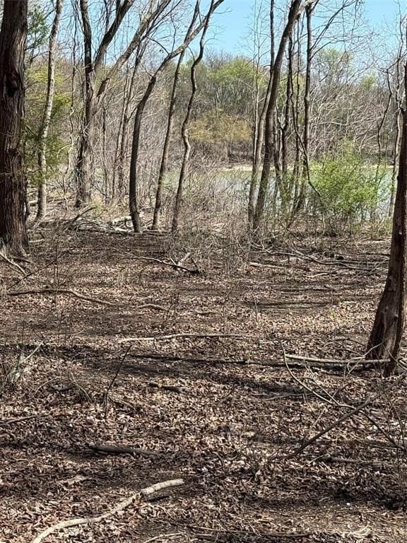 10 acres in Hill County - photo 4