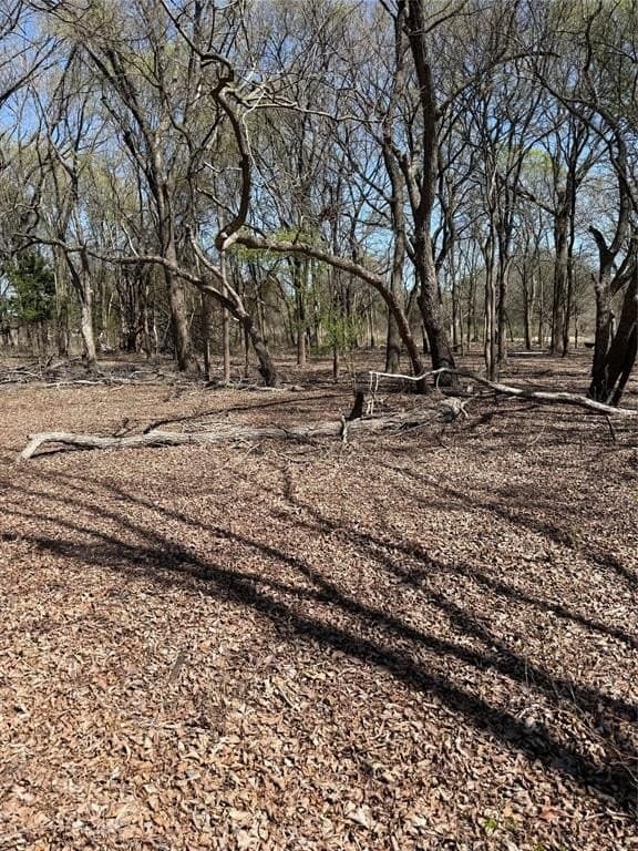 10 acres in Hill County - photo 8
