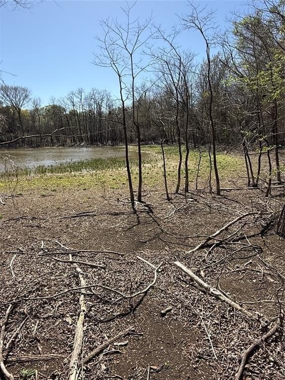 10 acres in Hill County - photo 7