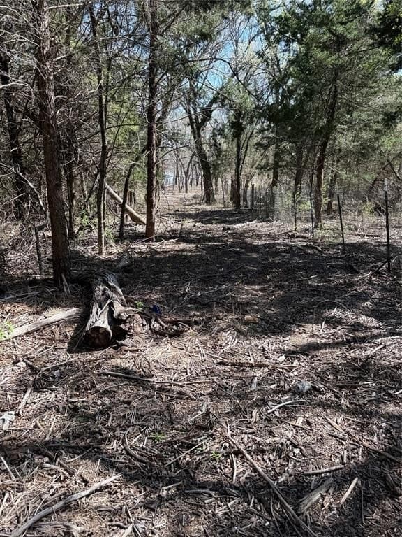 10 acres in Hill County - photo 10
