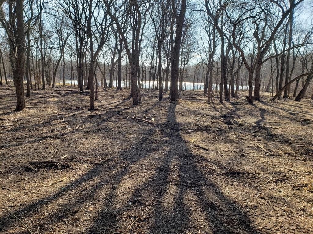 10 acres in Hill County - photo 6