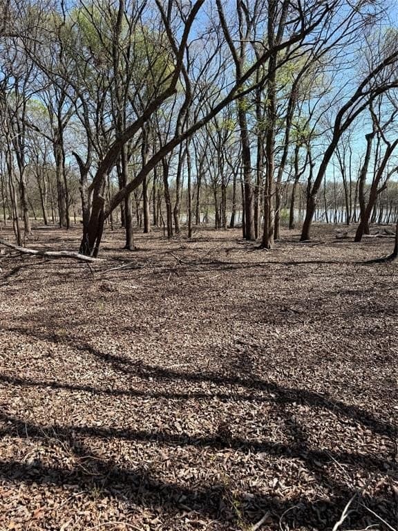 10 acres in Hill County - photo 9