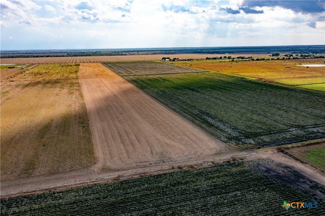 12.05 acres in Calhoun County - photo 20