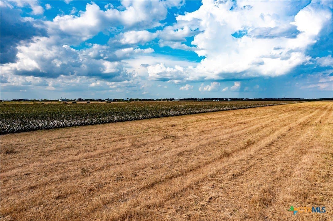 12.05 acres in Calhoun County - photo 3
