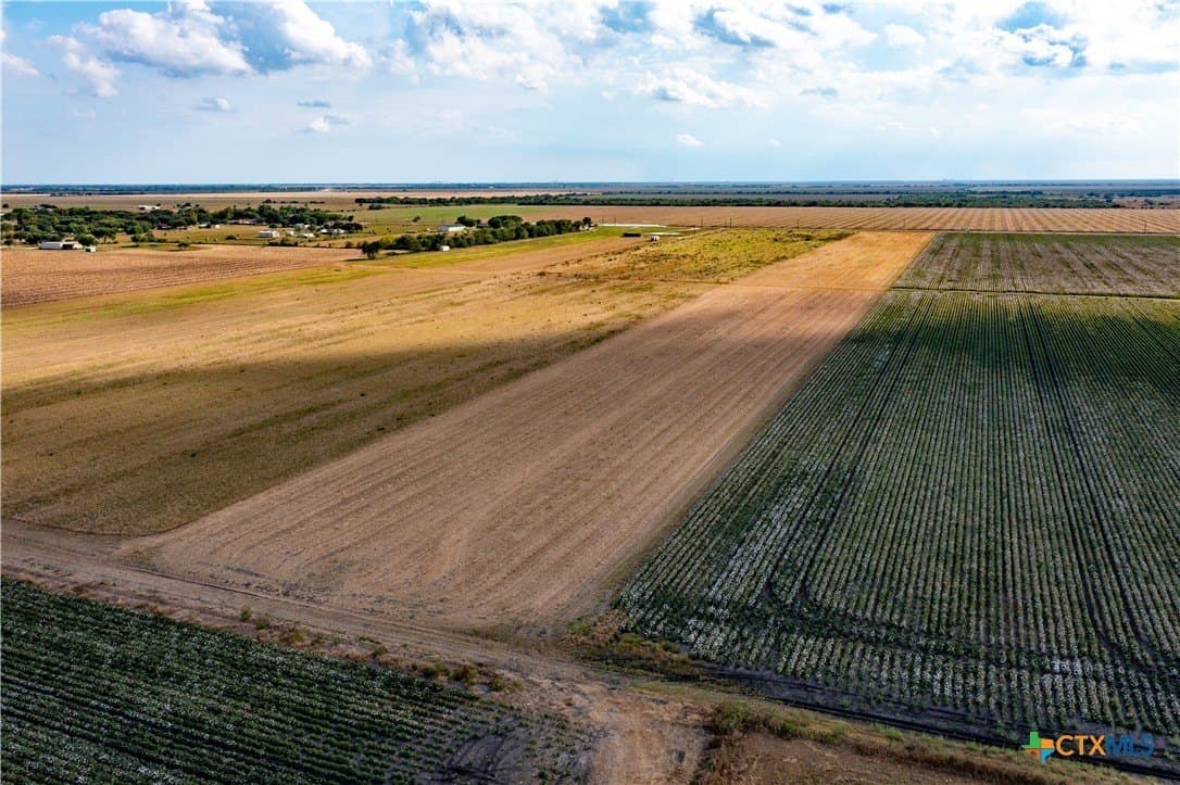 12.05 acres in Calhoun County - photo 7