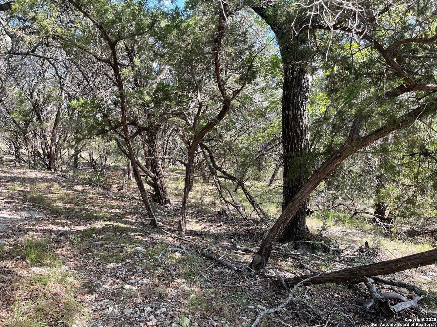 0.73 acres in Bandera County - photo 2