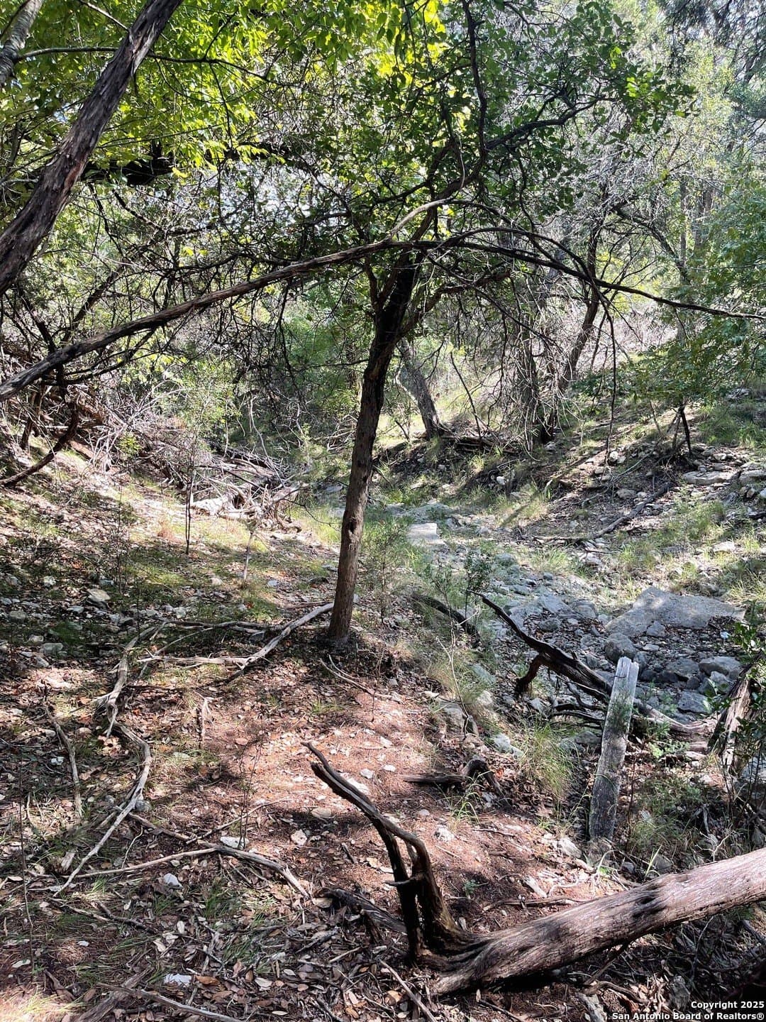 0.73 acres in Bandera County - photo 3