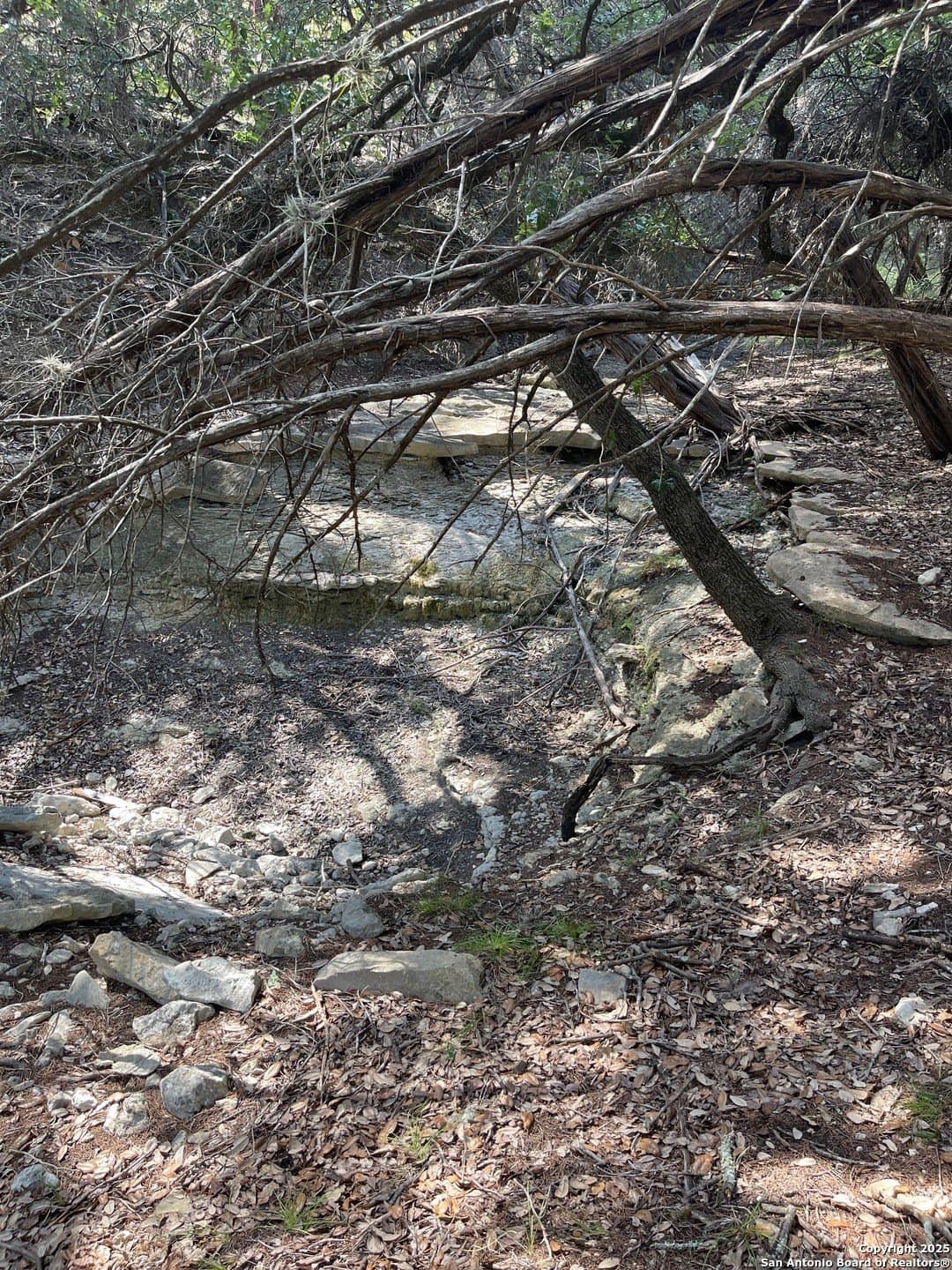 0.73 acres in Bandera County - photo 4