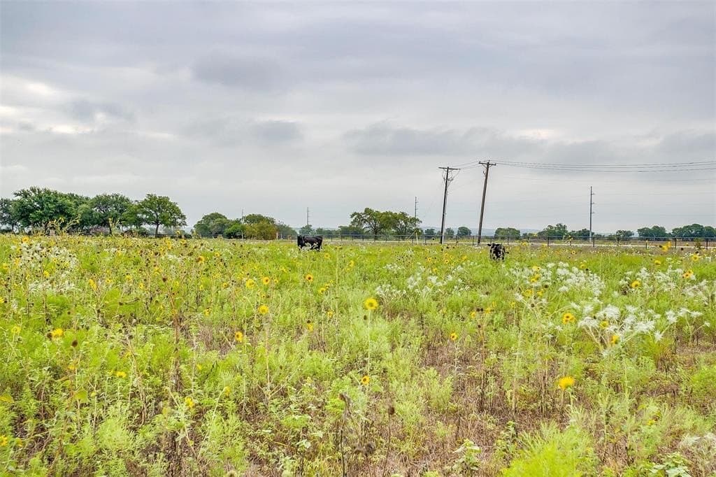 12.67 acres in Tarrant County - photo 10