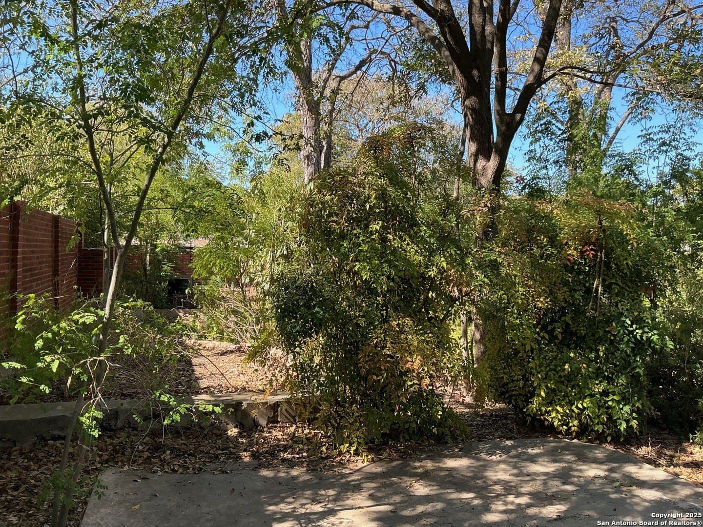 0.17 acres in Bexar County - photo 4