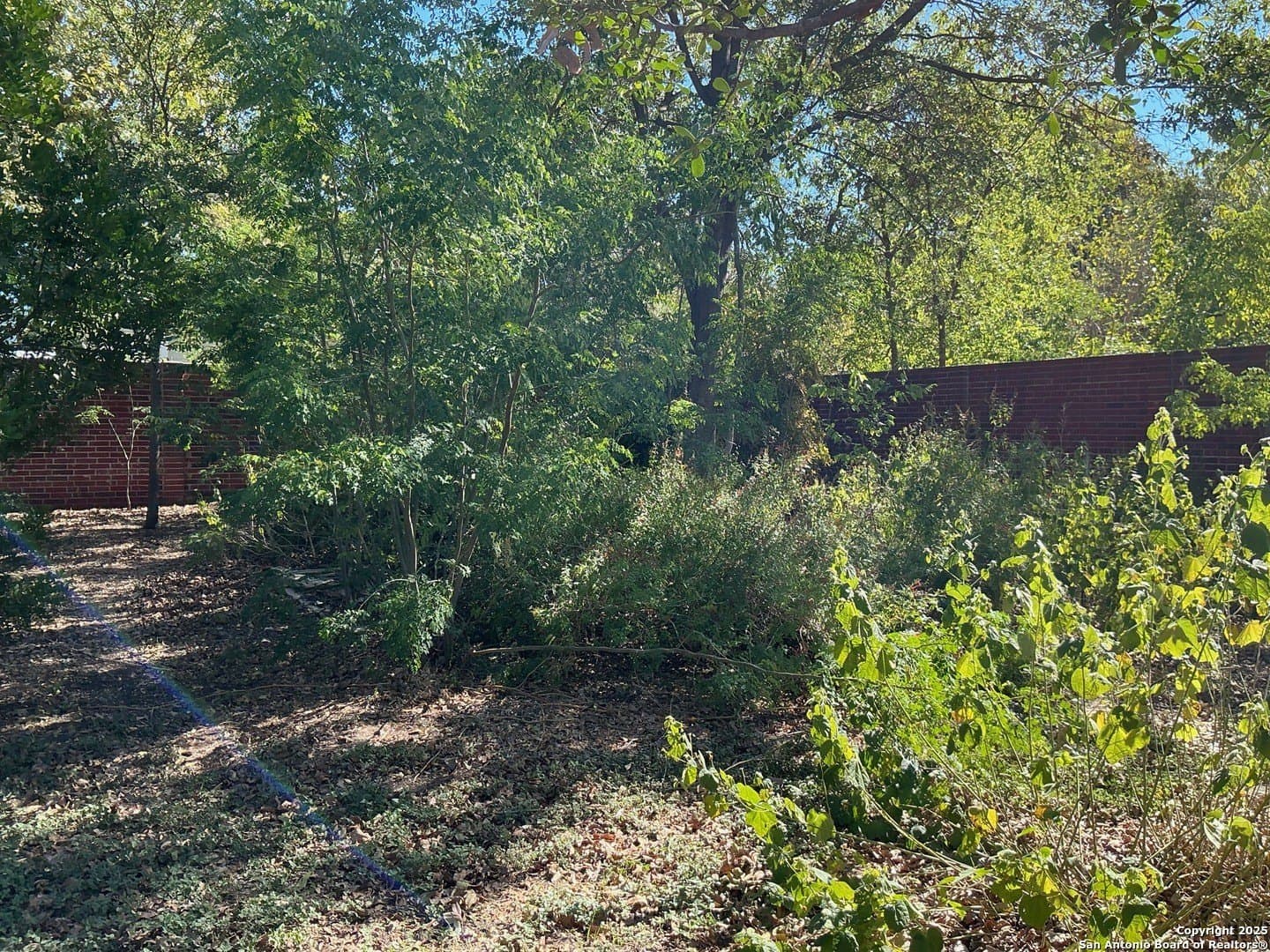 0.17 acres in Bexar County - photo 6