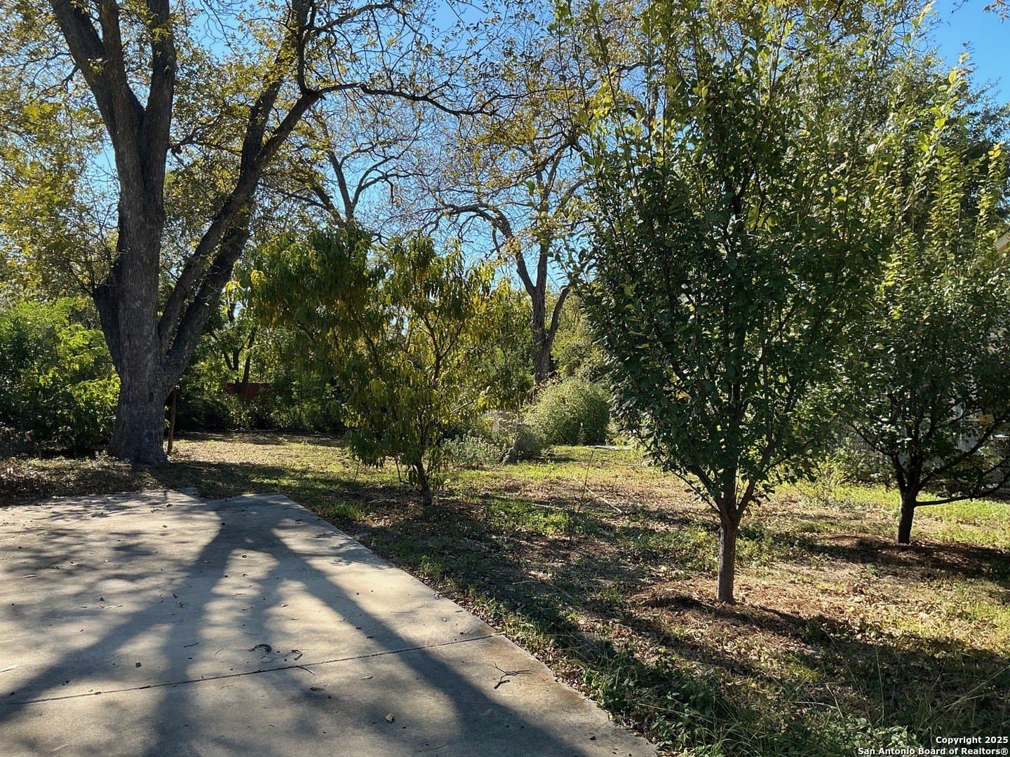 0.17 acres in Bexar County - photo 3