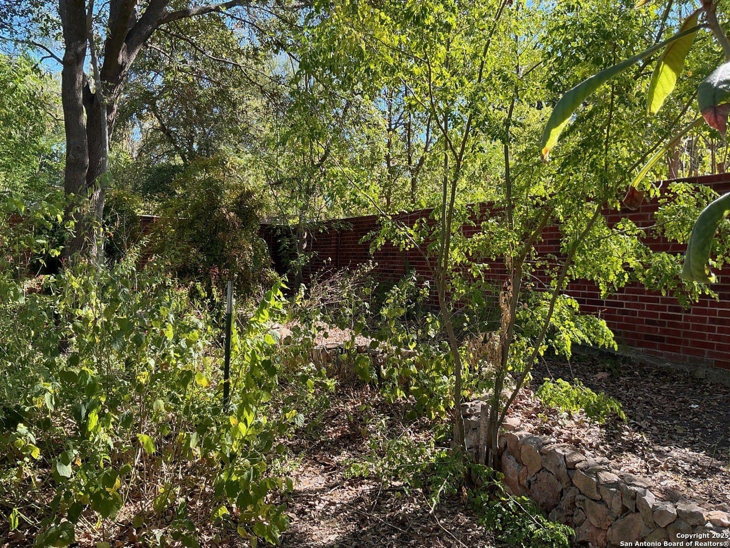 0.17 acres in Bexar County - photo 7