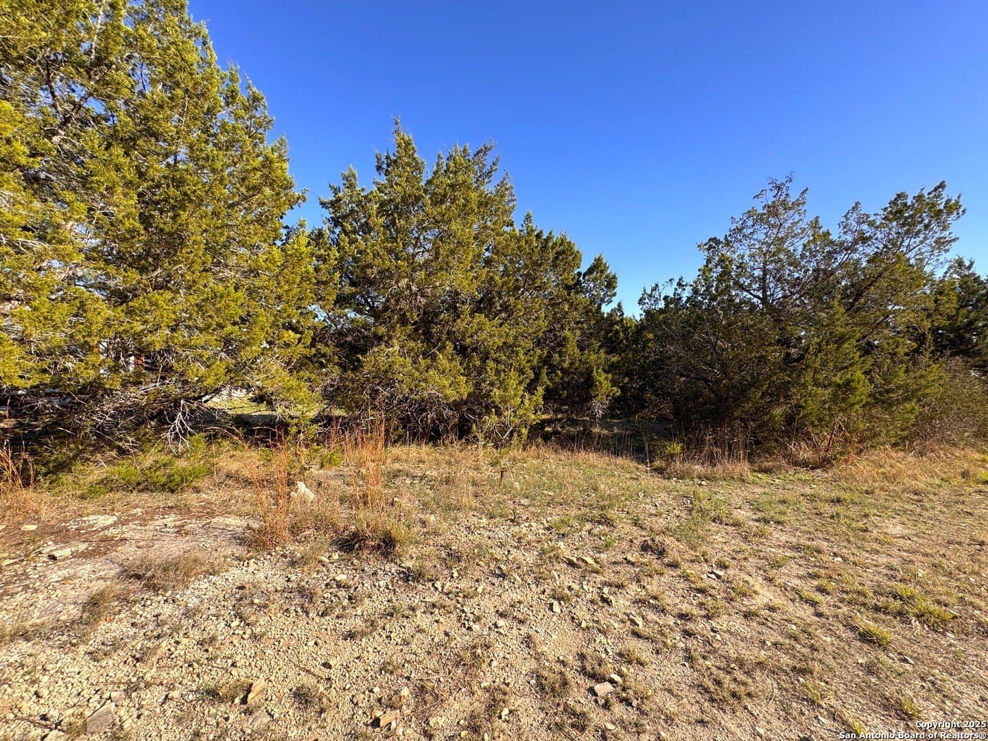 0.23 acres in Comal County - photo 4
