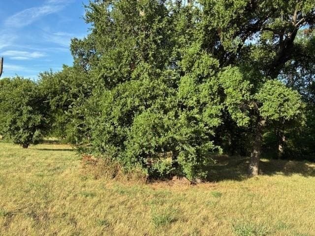 0.75 acres in Dallas County - photo 4