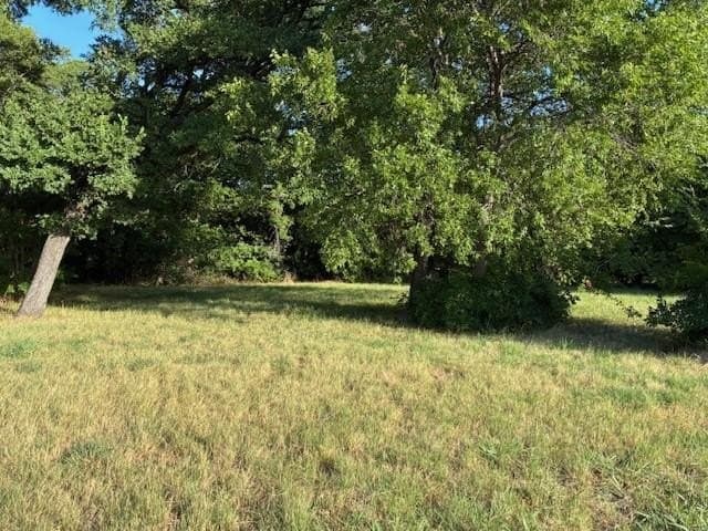 0.75 acres in Dallas County - photo 21
