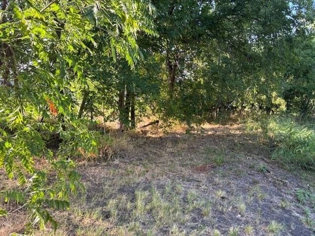 0.75 acres in Dallas County - photo 17