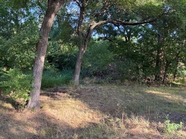 0.75 acres in Dallas County - photo 5