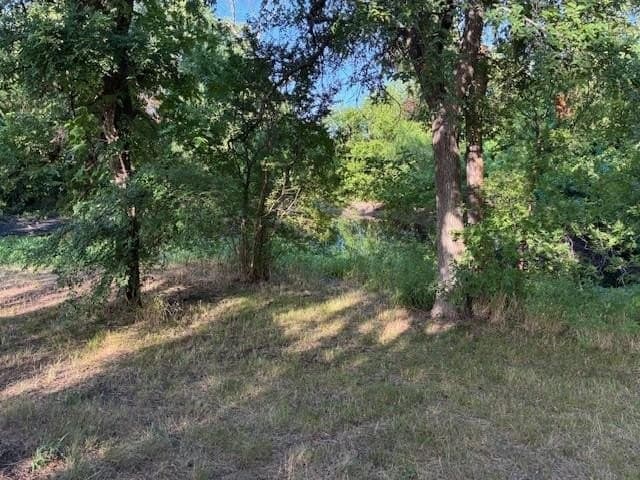 0.75 acres in Dallas County - photo 19