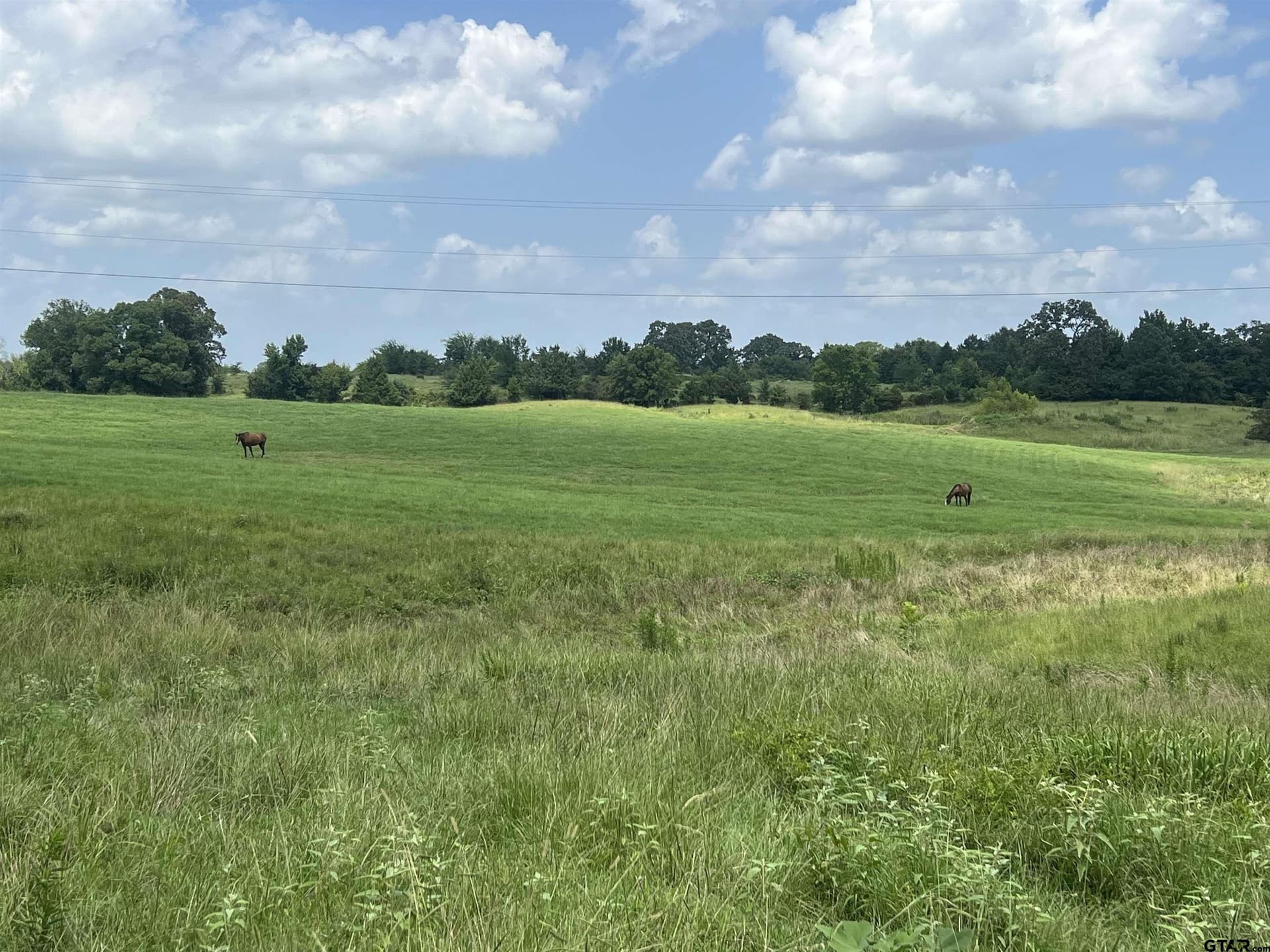 86.87 acres in Morris County - photo 3